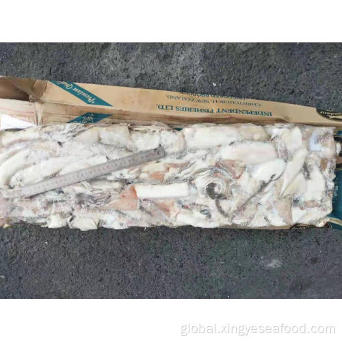 Frozen Arrow Squid Nototodarus Sloanii New Season Frozen Arrow 0-600 mixed Manufactory